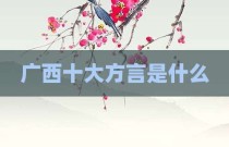 广西十大方言是什么