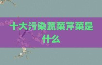 十大污染蔬菜芹菜是什么