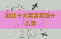 湖北十大毒舌菜是什么菜