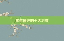 学生最坏的十大习惯