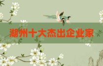 湖州十大杰出企业家
