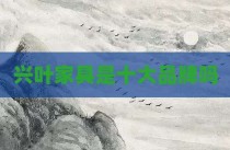 兴叶家具是十大品牌吗
