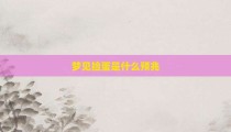 梦见捡蛋是什么预兆