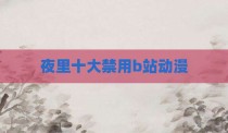 夜里十大禁用b站动漫
