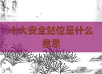 十大安全站位是什么意思