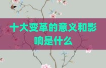 十大变革的意义和影响是什么