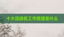 十大压缩机工作原理是什么