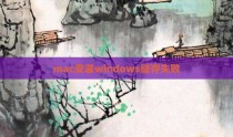 mac安装windows储存失败