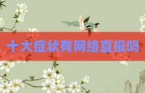 十大症状有网络直报吗