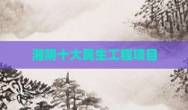 湘阴十大民生工程项目