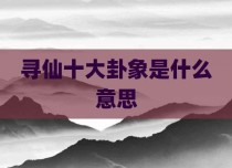 寻仙十大卦象是什么意思
