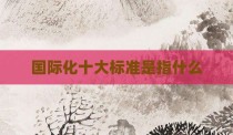 国际化十大标准是指什么