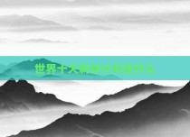 世界十大刺杀计划是什么