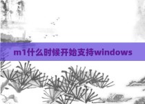 m1什么时候开始支持windows