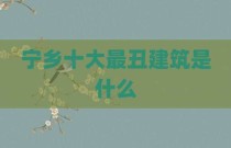 宁乡十大最丑建筑是什么