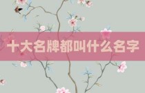 十大名牌都叫什么名字