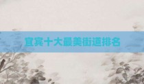 宜宾十大最美街道排名