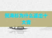倪海杉为什么退出十大青