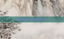 收藏品的十大风险是什么