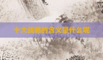 十大战略的含义是什么呢