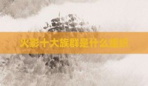火影十大族群是什么组织