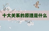 十大关系的原理是什么