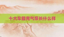 十大车载充气泵长什么样