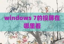 windows 7的投屏在哪里看