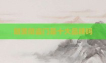 朗斐防盗门是十大品牌吗