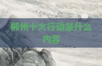 郴州十大行动是什么内容