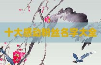 十大感动粉丝名字大全
