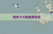 西安十大黑医美排名