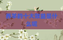 养羊的十大效益是什么呢