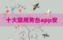 十大禁用黄台app安
