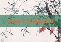 wwe十大摔角比赛