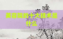 美容院的十大技术是什么