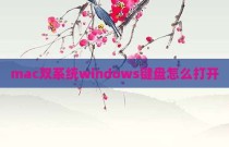 mac双系统windows键盘怎么打开