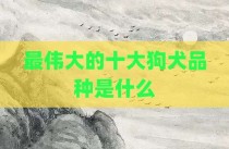 最伟大的十大狗犬品种是什么