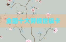 全国十大劳模世级卡
