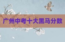 广州中考十大黑马分数