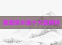 雷霆防水是十大品牌吗