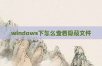 windows下怎么查看隐藏文件