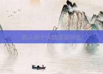 抓人的十大技术是什么