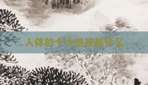 人体的十大绝技是什么