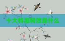 十大特潮特效是什么