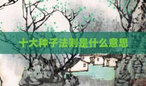 十大种子法则是什么意思