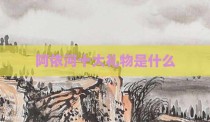阿依河十大礼物是什么