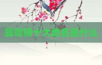 曼哈顿十大地名是什么
