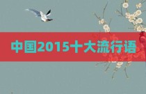 中国2015十大流行语