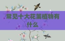 常见十大花篱植物有什么